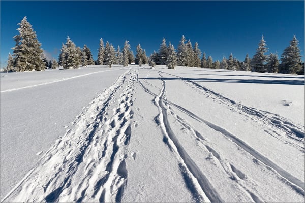 Sur les crêtes, Vosges, France