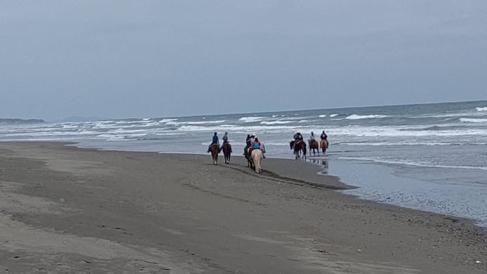 宮崎県 日向灘・富田浜シーサイドトレイル