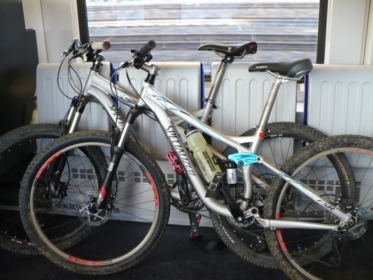 Im Zug nach Wädenswil