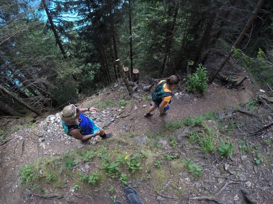 Waldstück runter nach Brienz