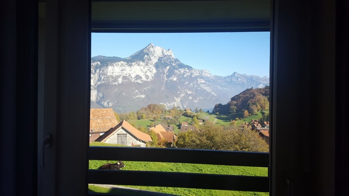 Schwimmkurs: Unsere Aussicht aus dem Hotelzimmer