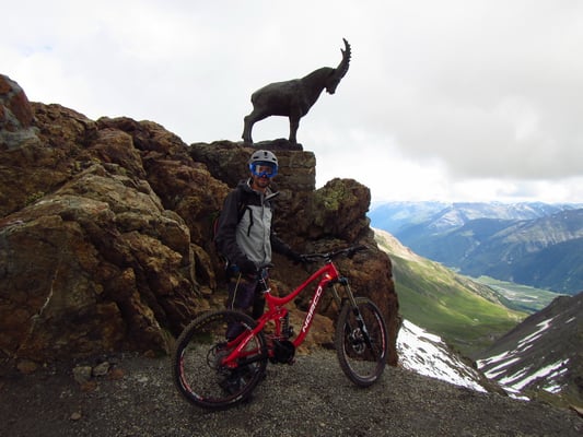 ...leider kein echter Steinbock