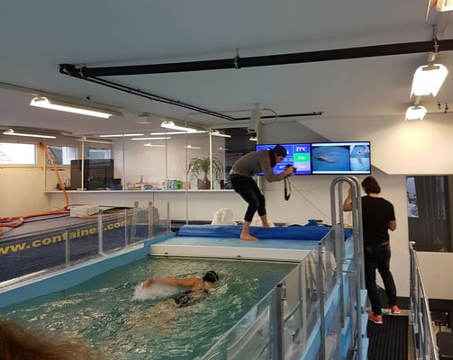 Roy analysiert die Fehler