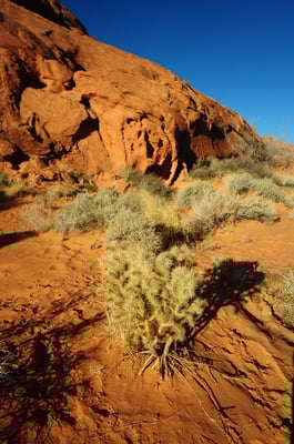 Valley Of Fire