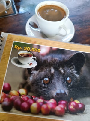 Lumak Kaffee Tasting