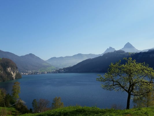 Traumhafte Aussicht mit dem Mythen im Hintergrund