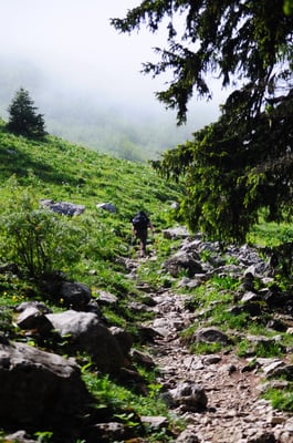 Wanderung auf den Le Moléson