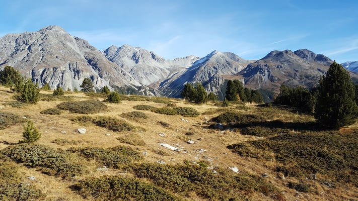 Nationalpark Wanderung Munt la Schera