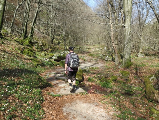 Sehr schöne und leichte Wanderung