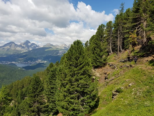  Trailrun Muottas Muragl - Chamanna Segantini - Alp Languard - Muottas Muragl