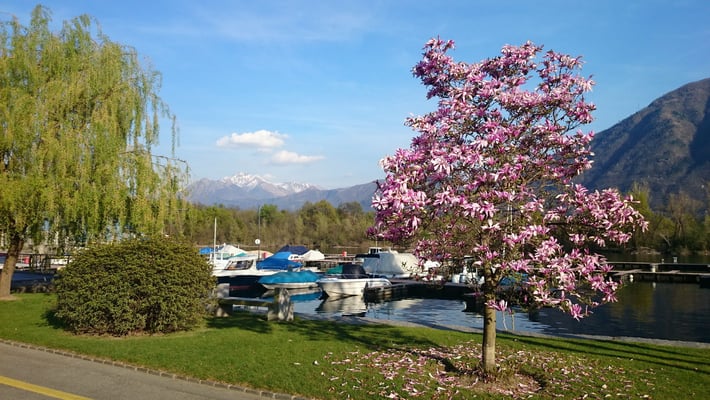 Frühlingswetter und schöne Abendstimmung