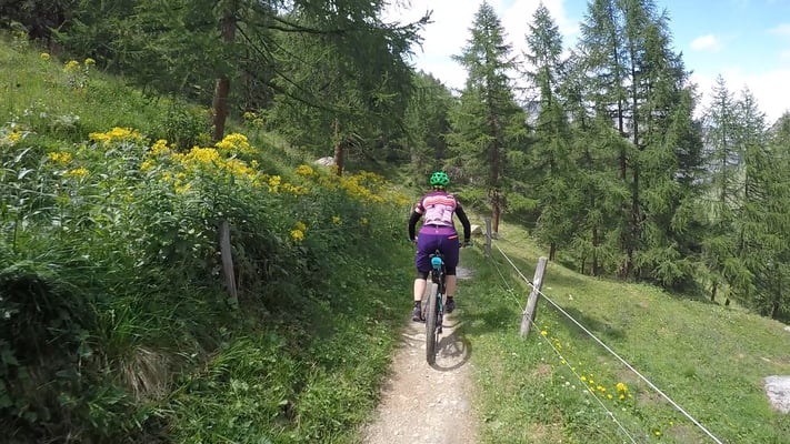  MTB Rundtour Sils - Val Fex - Lägh da Cavloc