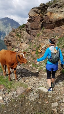  Trailrun Muottas Muragl - Chamanna Segantini - Alp Languard - Muottas Muragl
