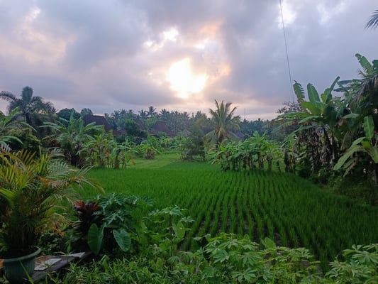 Ubud