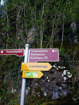 Wir starten unseren Run