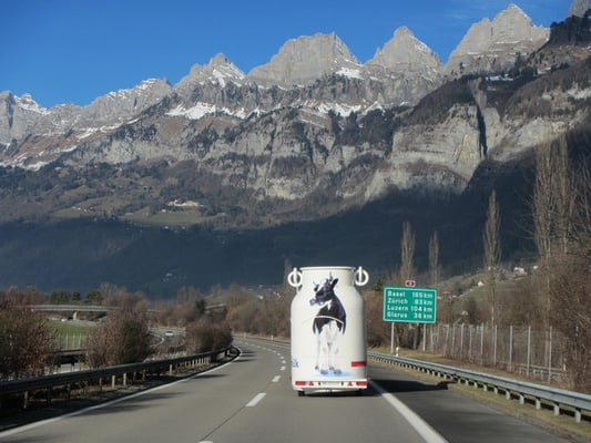 Milchtransport auf der Heimfahrt :)