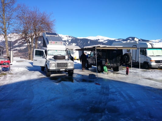 Bush-Baby und Bagheera