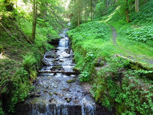 überall hat es kleine Bäche