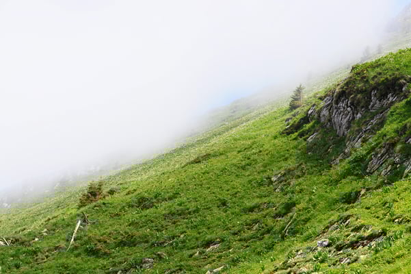 Wanderung auf den Le Moléson