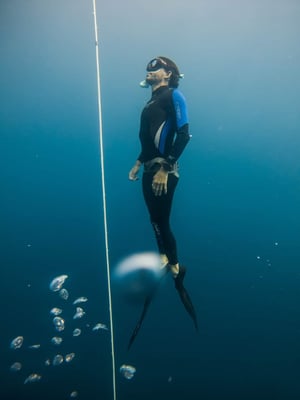 Freediving PADI 1