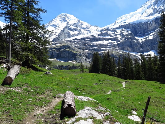 Schöner Bergwanderweg zur Biglenalp immer mit Sicht auf den Mönch