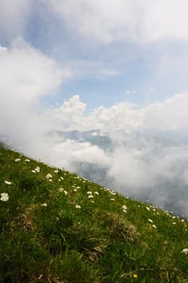 Wanderung auf den Le Moléson