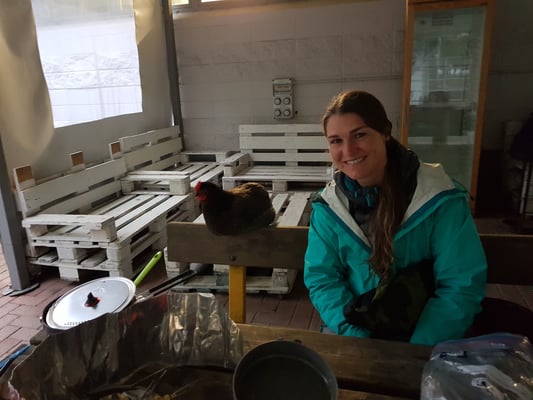 Neuer Kollege vom Camping