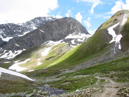 ..runter zur Alp Suvretta 2311müM