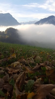Start der Ferien - Fahrt in die Innerschweiz