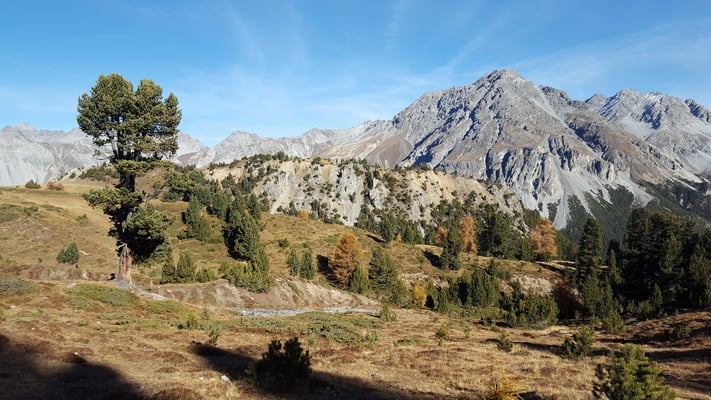 Nationalpark Wanderung Munt la Schera