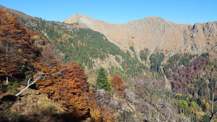 MTB Tour Monte Tamaro