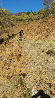 MTB Tour Monte Tamaro