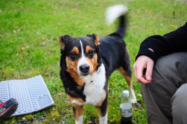 Zora bei uns beim Nachtessen
