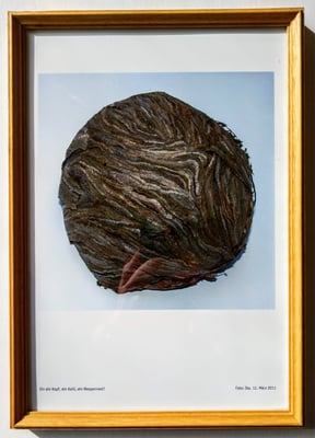 Ika Hussmann, Titel: Ein Kopf, ein Kohl, ein Wespennest, 2011, Technik: Fotografie, 30x21 cm (ohne Rahmen)