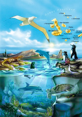 Edition : Illustration mixte / Galápagos • © Christophe HOULES, illustrateur