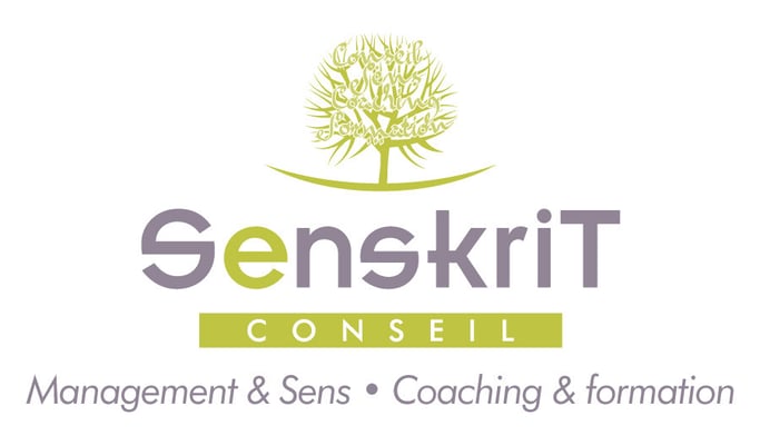 Création logo • Senskrit Conseil • © recreacom.fr - Christophe Houlès graphiste
