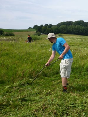 ... und der Handsense.