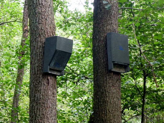 ... über die verschiedenen ...