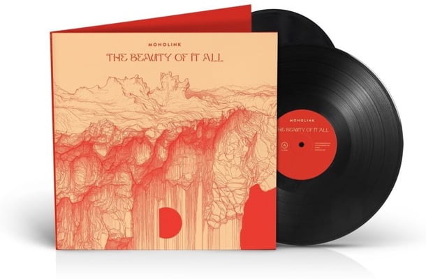 Monolink The Beauty Of It All / 2 Lp's / CHF 34.50 