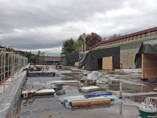 Hopf und Wirth Architekten ETH HTL SIA Winterthur, Erweiterung Turnhallen Berufsbildungsschule Winterthur, Holzbau