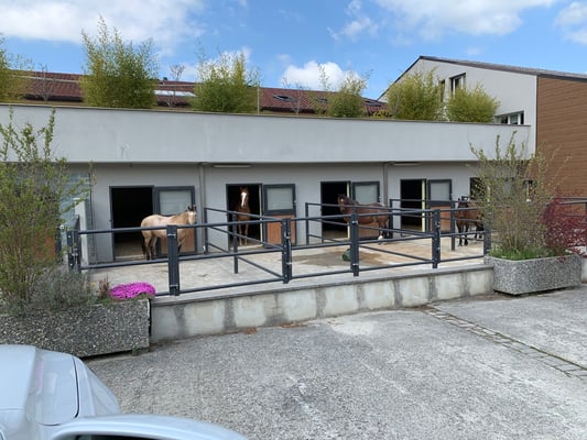 5 Aussenboxen (ungbeschlagene Pferde)