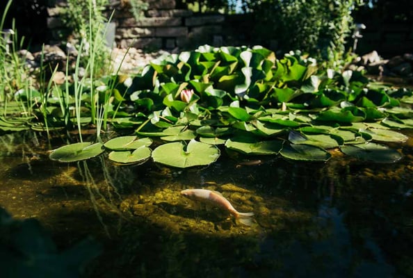 Rinaldo Delgrosso Conny Delgrosso Physiotherapiepraxis Physioplus Widnau Au Heerbrugg Balgach Berneck Diepoldsau Rebstein Rheintal ©nussbaumerphotography.com