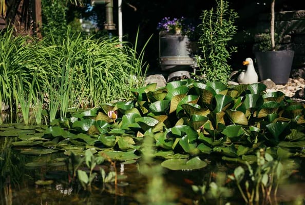 Rinaldo Delgrosso Conny Delgrosso Physiotherapiepraxis Physioplus Widnau Au Heerbrugg Balgach Berneck Diepoldsau Rebstein Rheintal ©nussbaumerphotography.com