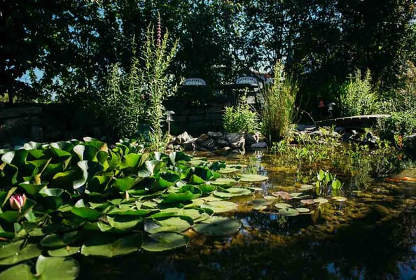 Rinaldo Delgrosso Conny Delgrosso Physiotherapiepraxis Physioplus Widnau Au Heerbrugg Balgach Berneck Diepoldsau Rebstein Rheintal ©nussbaumerphotography.com