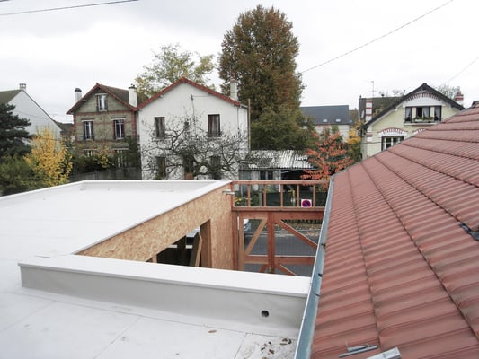 toit végétalisé et patio