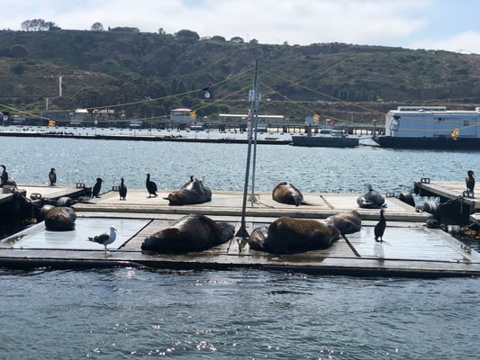 Waldegger Tours auf dem Wasser