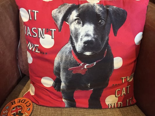 Den Spruch merk ich mir!