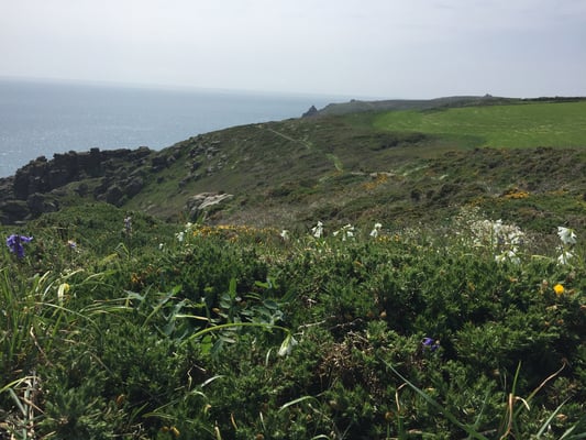 Porthcurno in Richtung Gwennap Head