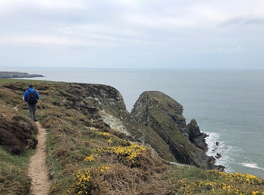 Wanderweg beim South Stack Lighthouse