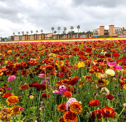 Der absolute Wahnsinn, so etwas haben wir noch nie gesehen!